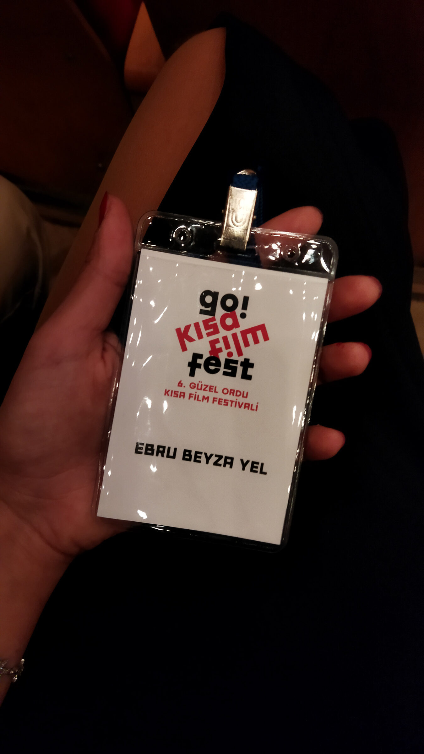 GO Festival — main portrait poster