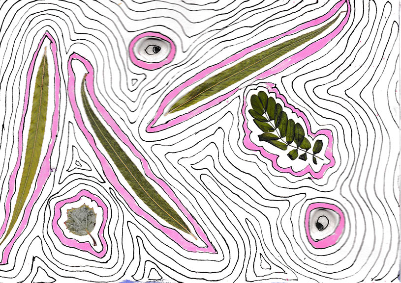Illustration