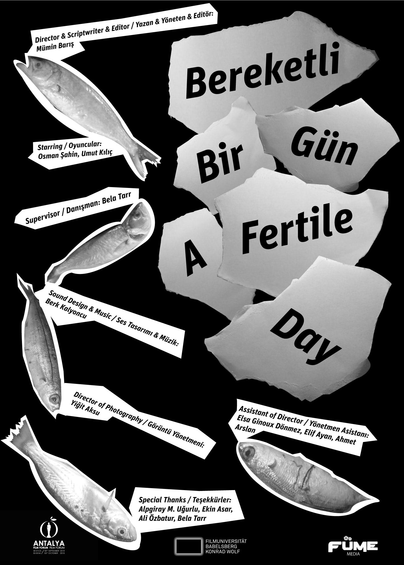Poster 13